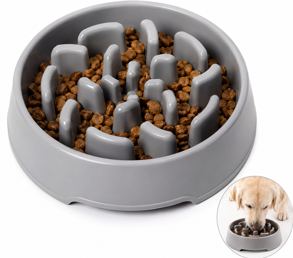 Gamelle Anti-Glouton PawSlow