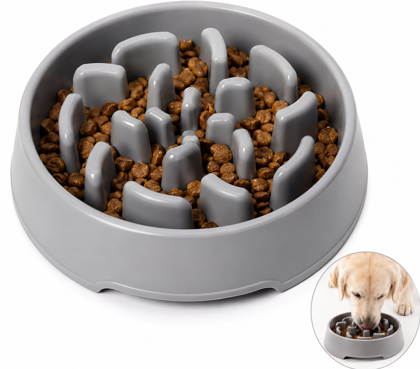 Gamelle Anti-Glouton PawSlow