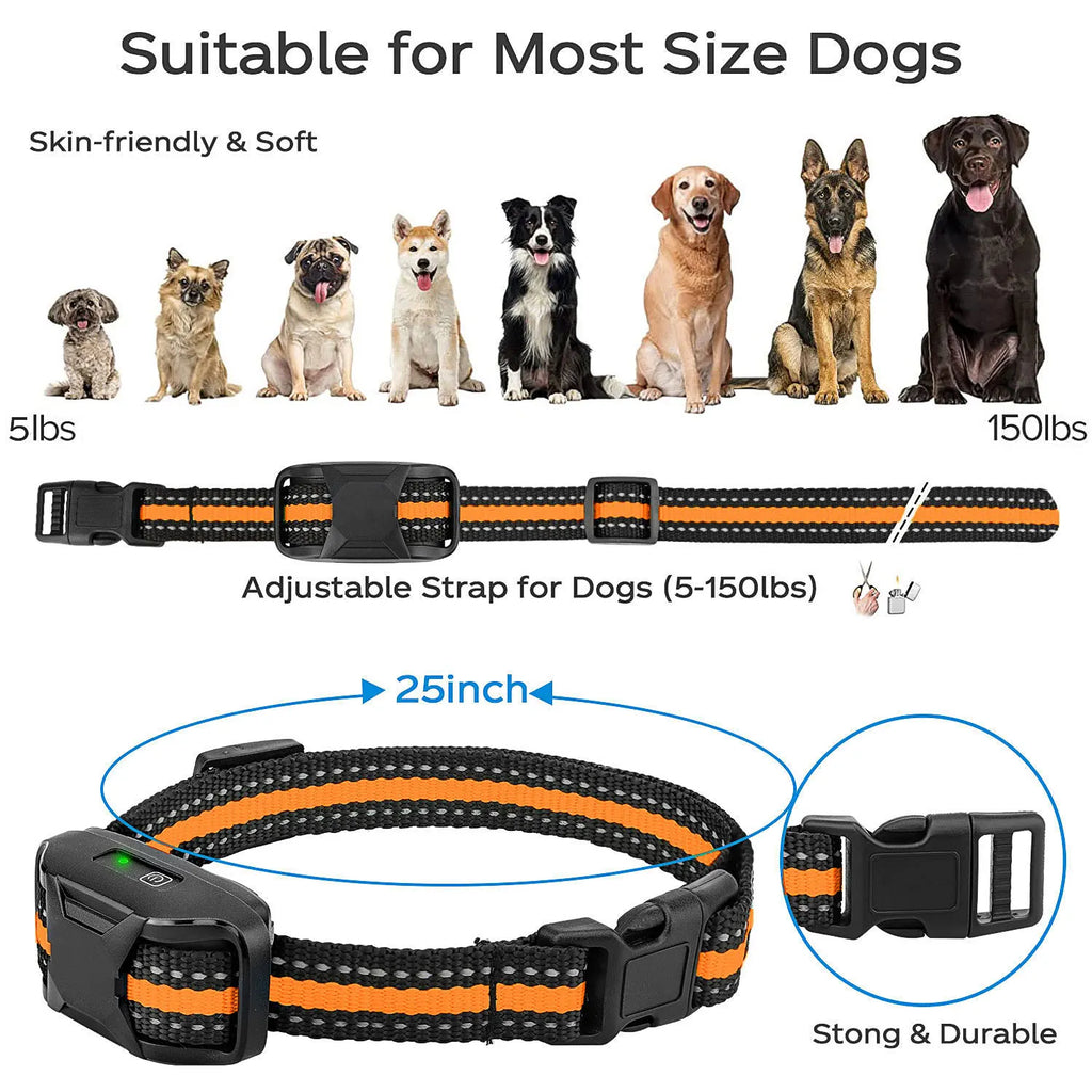 Collier de Dressage Chien Rechargeable - Télécommande 1000m