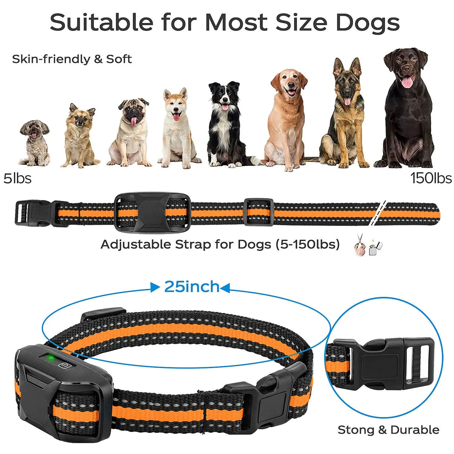Collier de Dressage Chien Rechargeable - Télécommande 1000m