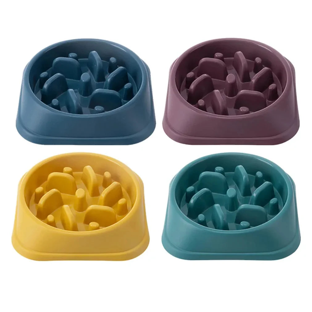 Gamelle Anti-Glouton PawSlow