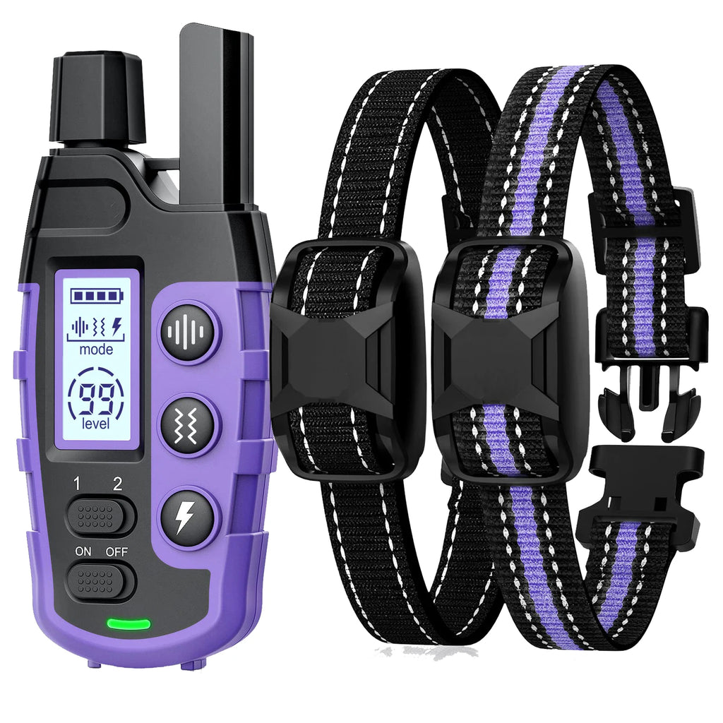 Collier de Dressage Chien Rechargeable - Télécommande 1000m