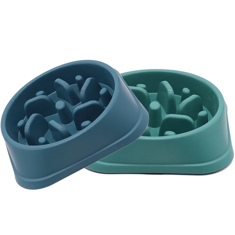 Gamelle Anti-Glouton PawSlow