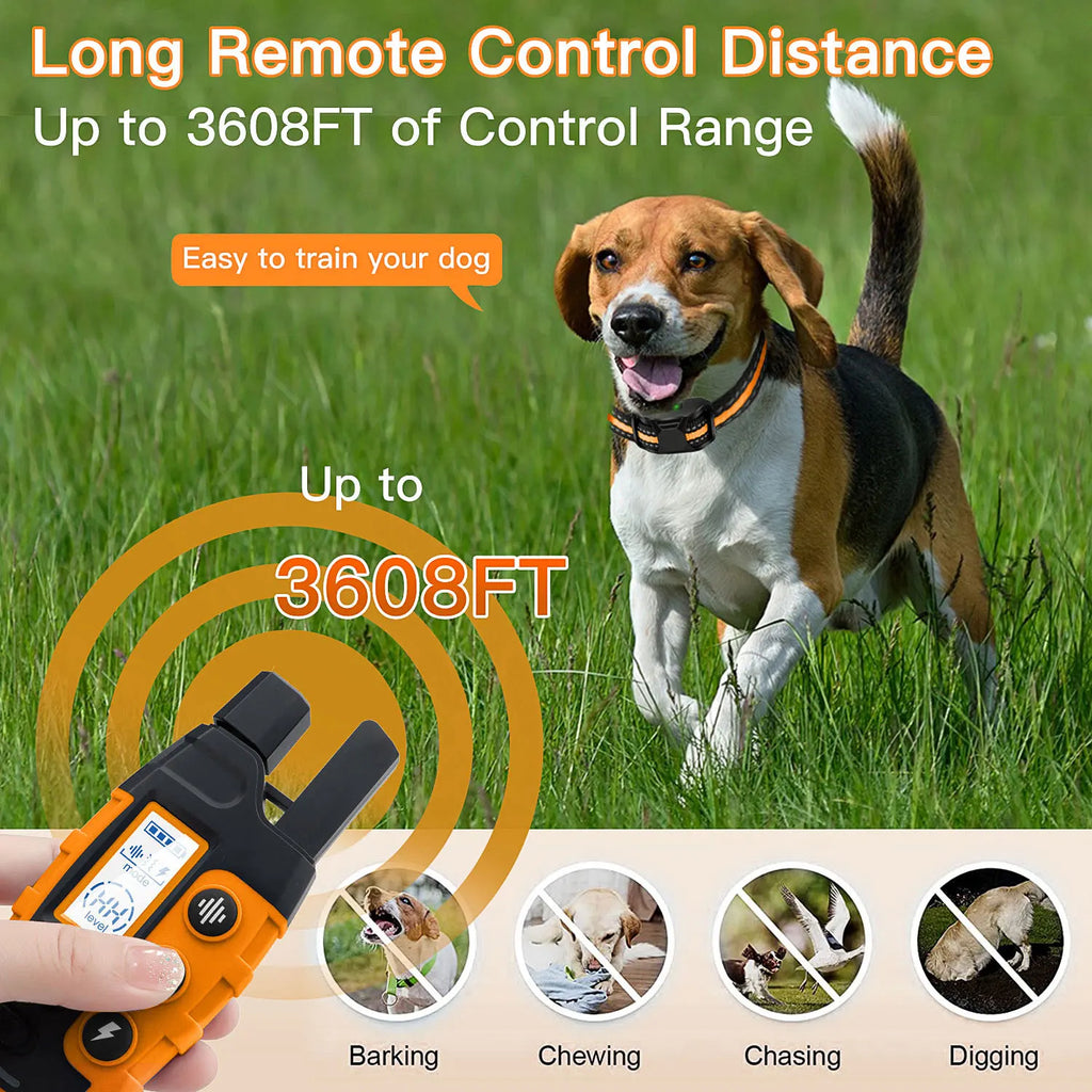Collier de Dressage Chien Rechargeable - Télécommande 1000m