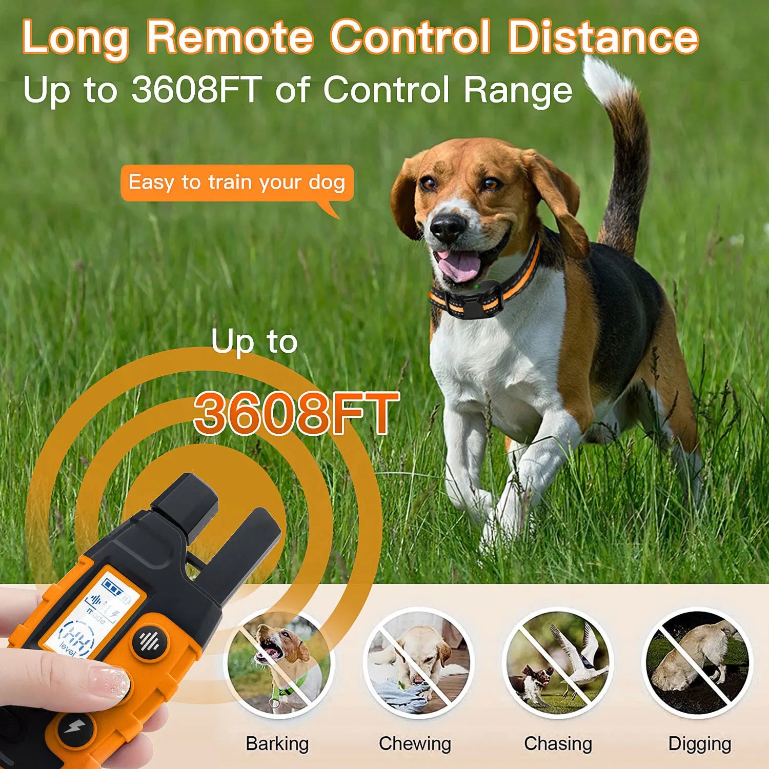 Collier de Dressage Chien Rechargeable - Télécommande 1000m