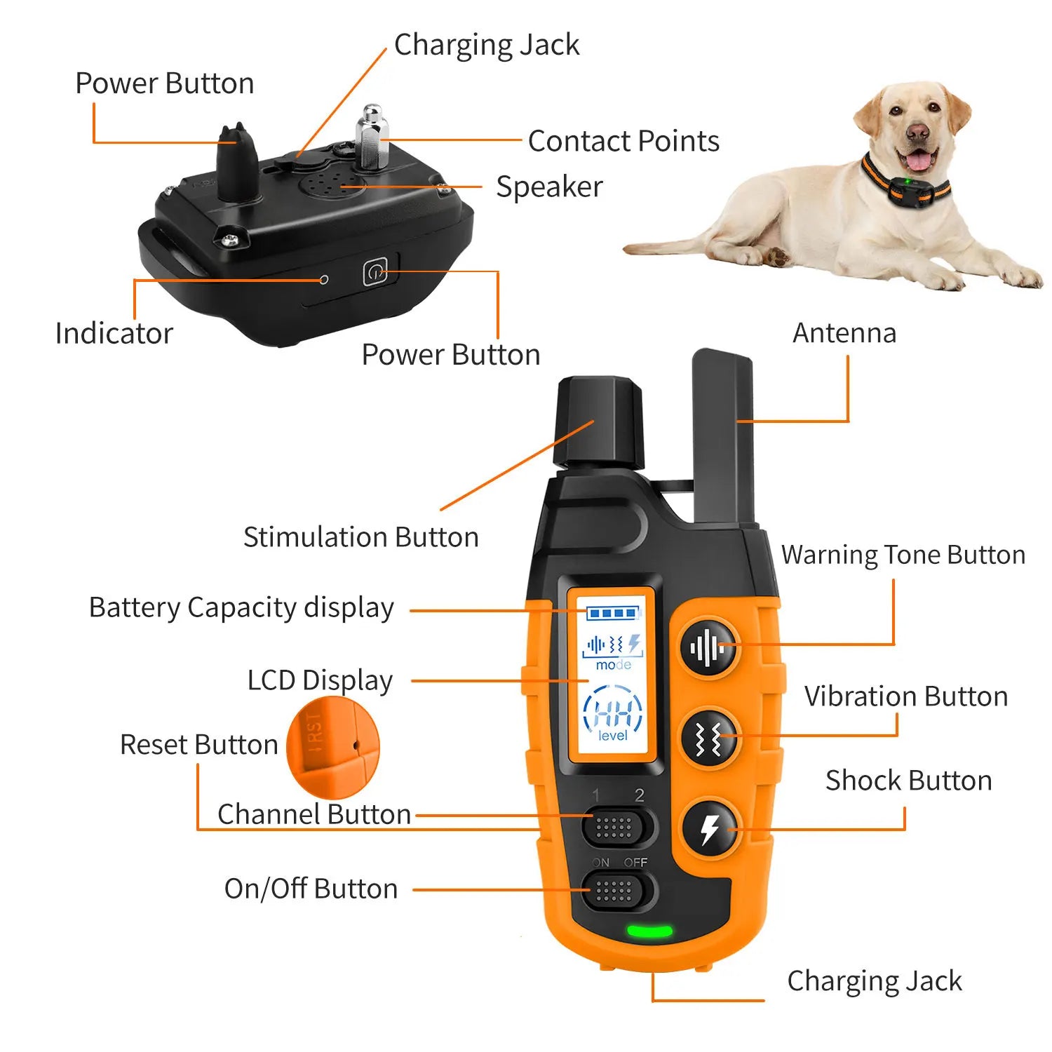 Collier de Dressage Chien Rechargeable - Télécommande 1000m